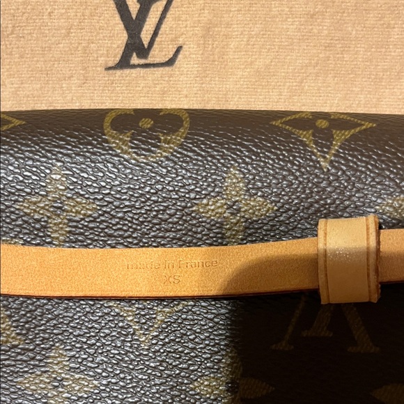 Louis Vuitton Brown Monogram Belt Bag - Picture 3 of 9